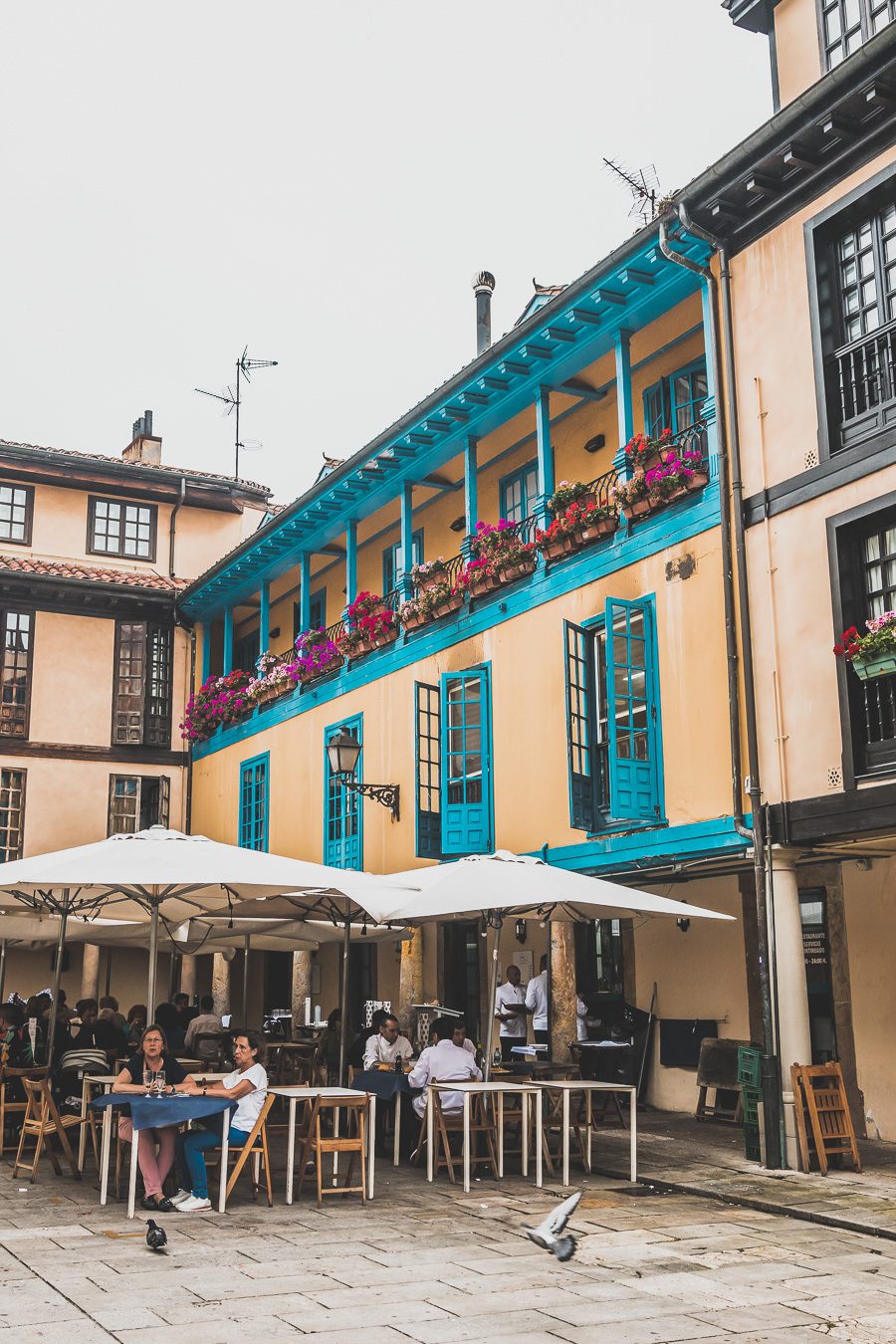 Explorez Oviedo, perle de l'Espagne du Nord, entre tradition et modernité. Flânez dans ses ruelles chargées d'histoire, délectez-vous de sa cuisine... Que vous voyagiez en couple, en famille ou entre amis, Oviedo promet des expériences uniques. C'est une étape sympa lors d'un road trip en van en Espagne. Partez donc à la découverte de ce trésor espagnol. L'aventure vous attend, cliquez pour avoir des conseils utiles.