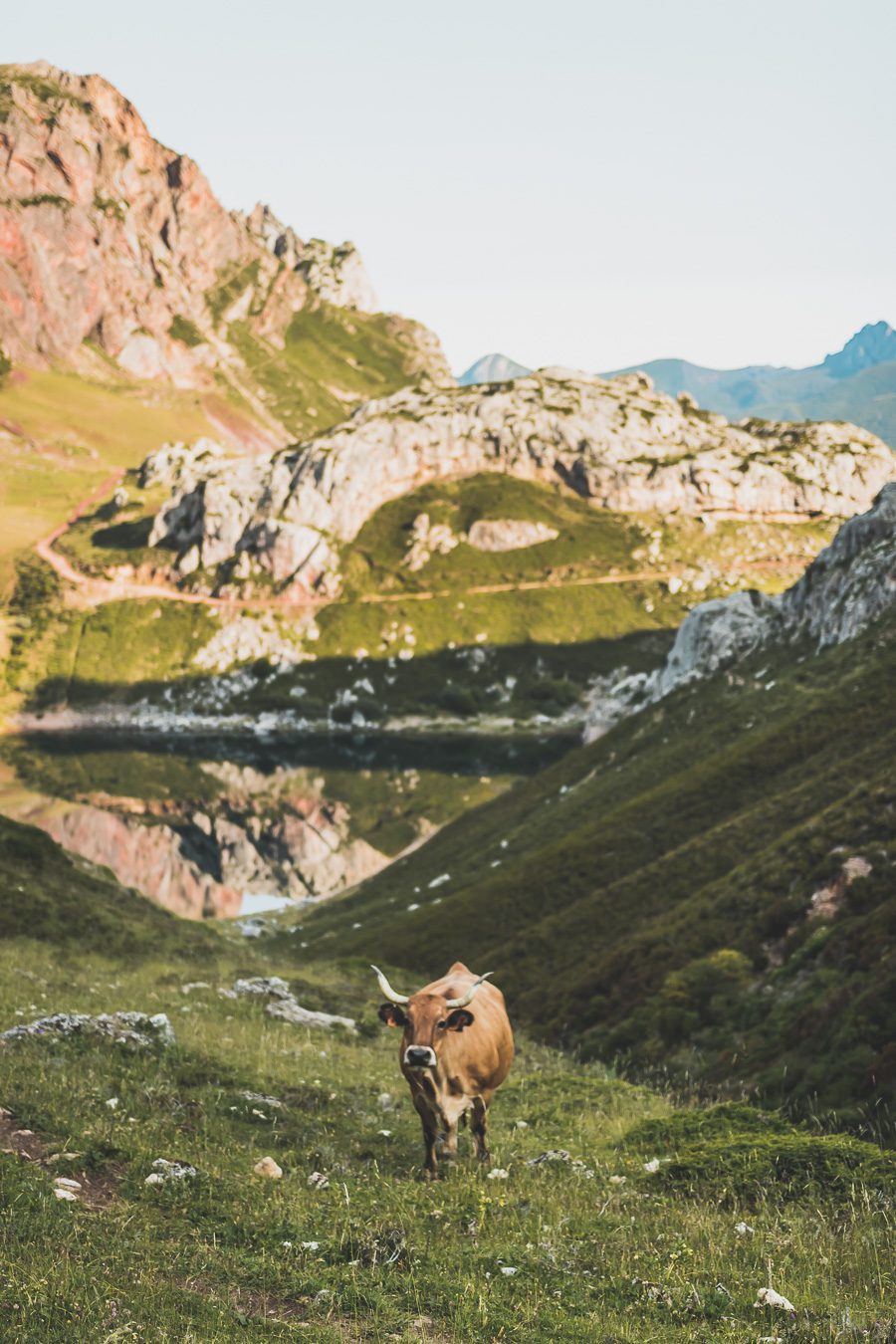 Partez à la découverte d'un paradis naturel : le Parc Naturel de Somiedo dans les Asturies. Plongez dans des paysages époustouflants, entre montagnes majestueuses et vallées verdoyantes. Une aventure inoubliable vous attend. Explorez ce joyau naturel lors d'un road trip en van à travers les Asturies dans le Nord de l'Espagne et faites de belles randonnées. 