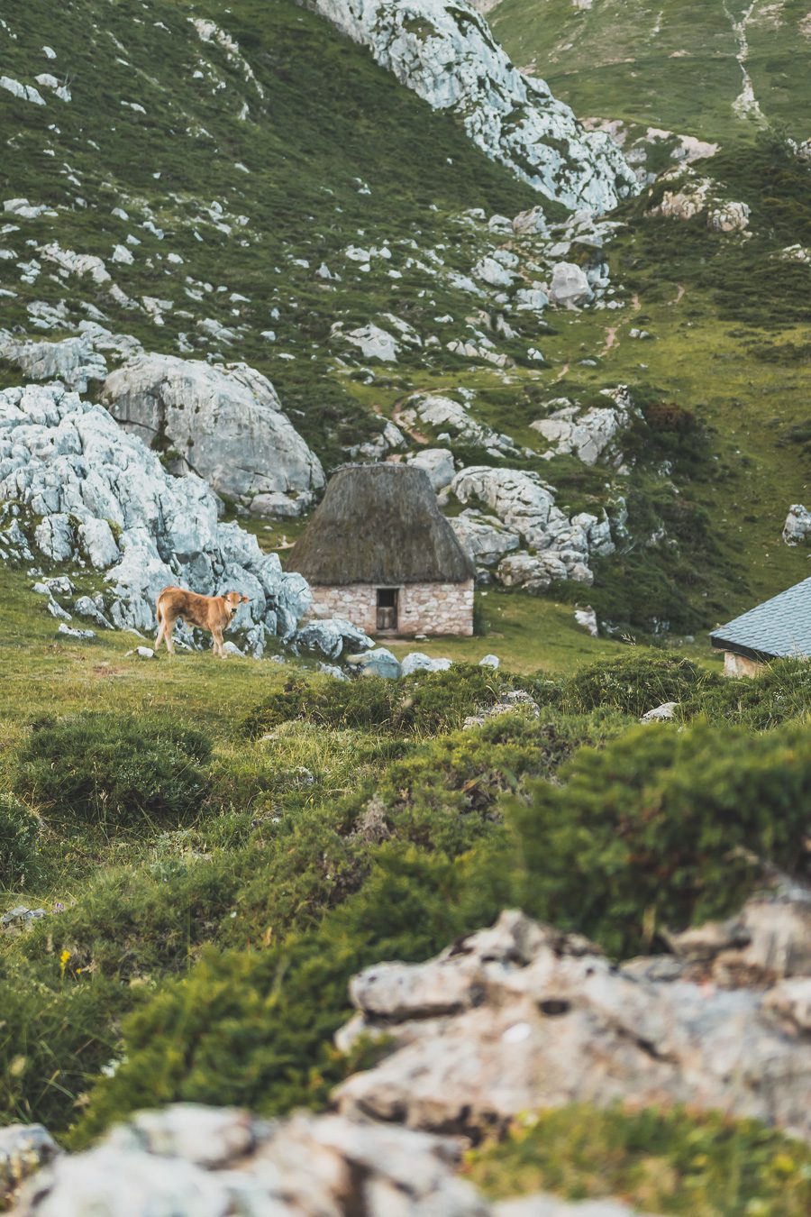 Partez à la découverte d'un paradis naturel : le Parc Naturel de Somiedo dans les Asturies. Plongez dans des paysages époustouflants, entre montagnes majestueuses et vallées verdoyantes. Une aventure inoubliable vous attend. Explorez ce joyau naturel lors d'un road trip en van à travers les Asturies dans le Nord de l'Espagne et faites de belles randonnées. 