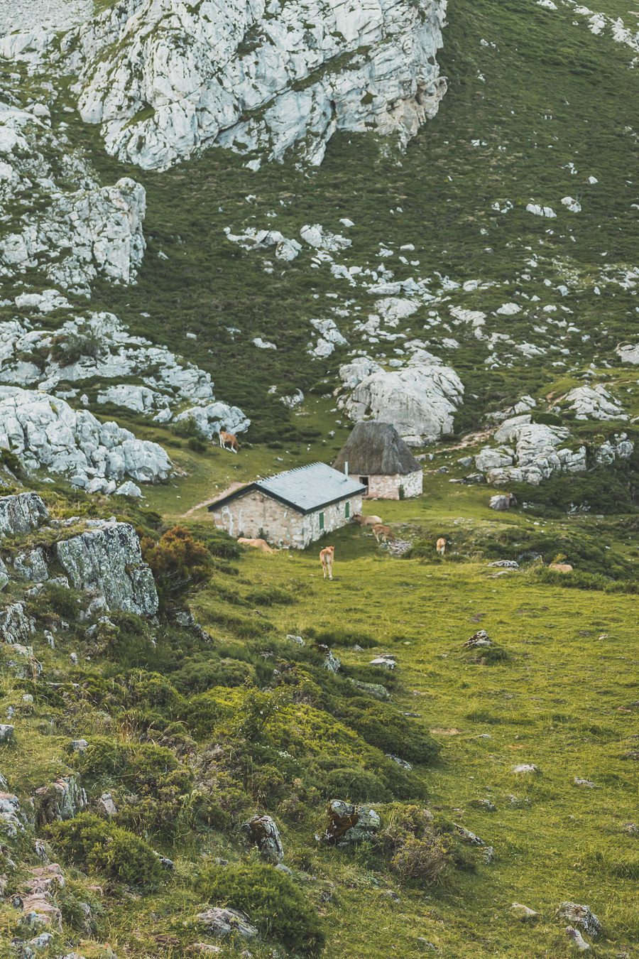 Partez à la découverte d'un paradis naturel : le Parc Naturel de Somiedo dans les Asturies. Plongez dans des paysages époustouflants, entre montagnes majestueuses et vallées verdoyantes. Une aventure inoubliable vous attend. Explorez ce joyau naturel lors d'un road trip en van à travers les Asturies dans le Nord de l'Espagne et faites de belles randonnées. 