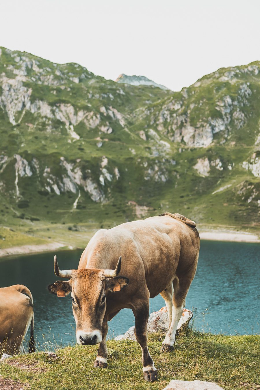 Partez à la découverte d'un paradis naturel : le Parc Naturel de Somiedo dans les Asturies. Plongez dans des paysages époustouflants, entre montagnes majestueuses et vallées verdoyantes. Une aventure inoubliable vous attend. Explorez ce joyau naturel lors d'un road trip en van à travers les Asturies dans le Nord de l'Espagne et faites de belles randonnées. 