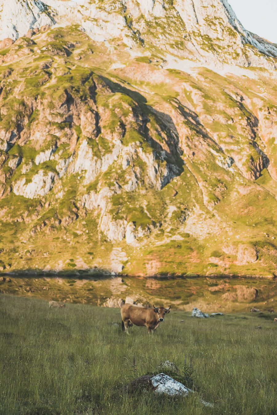 Partez à la découverte d'un paradis naturel : le Parc Naturel de Somiedo dans les Asturies. Plongez dans des paysages époustouflants, entre montagnes majestueuses et vallées verdoyantes. Une aventure inoubliable vous attend. Explorez ce joyau naturel lors d'un road trip en van à travers les Asturies dans le Nord de l'Espagne et faites de belles randonnées. 