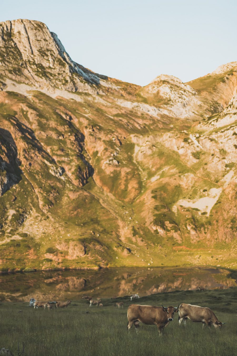 Partez à la découverte d'un paradis naturel : le Parc Naturel de Somiedo dans les Asturies. Plongez dans des paysages époustouflants, entre montagnes majestueuses et vallées verdoyantes. Une aventure inoubliable vous attend. Explorez ce joyau naturel lors d'un road trip en van à travers les Asturies dans le Nord de l'Espagne et faites de belles randonnées. 