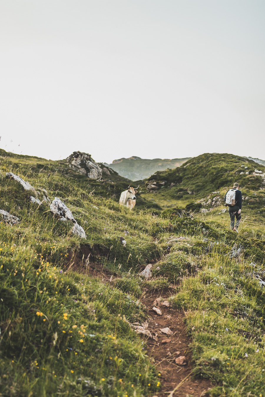 Partez à la découverte d'un paradis naturel : le Parc Naturel de Somiedo dans les Asturies. Plongez dans des paysages époustouflants, entre montagnes majestueuses et vallées verdoyantes. Une aventure inoubliable vous attend. Explorez ce joyau naturel lors d'un road trip en van à travers les Asturies dans le Nord de l'Espagne et faites de belles randonnées. 