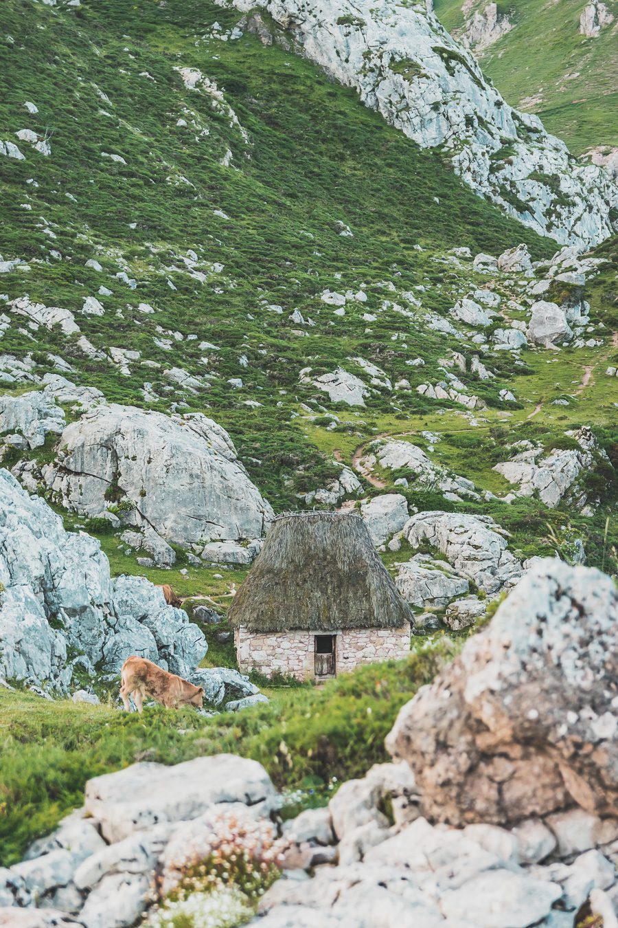 Partez à la découverte d'un paradis naturel : le Parc Naturel de Somiedo dans les Asturies. Plongez dans des paysages époustouflants, entre montagnes majestueuses et vallées verdoyantes. Une aventure inoubliable vous attend. Explorez ce joyau naturel lors d'un road trip en van à travers les Asturies dans le Nord de l'Espagne et faites de belles randonnées. 