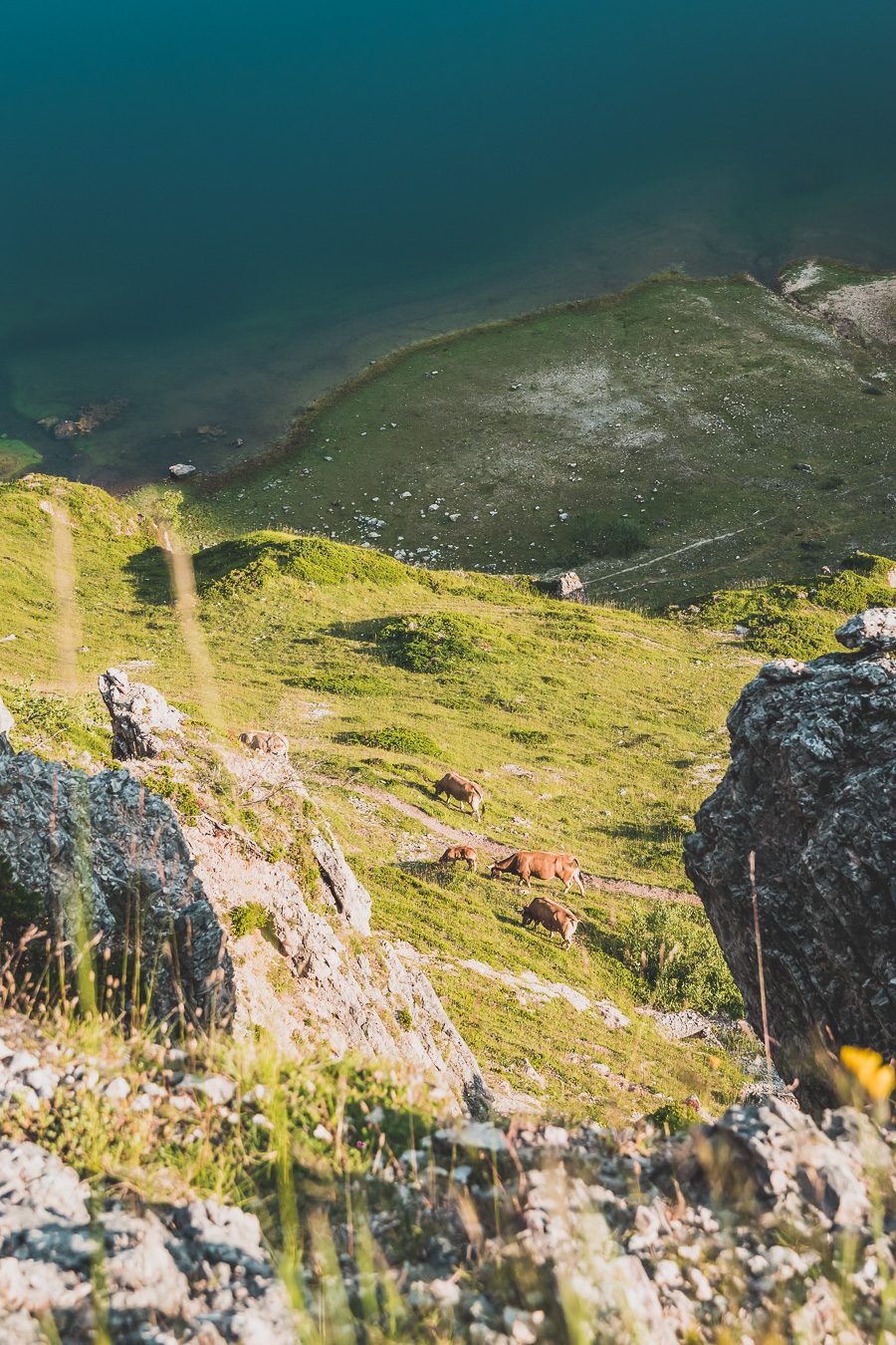 Partez à la découverte d'un paradis naturel : le Parc Naturel de Somiedo dans les Asturies. Plongez dans des paysages époustouflants, entre montagnes majestueuses et vallées verdoyantes. Une aventure inoubliable vous attend. Explorez ce joyau naturel lors d'un road trip en van à travers les Asturies dans le Nord de l'Espagne et faites de belles randonnées. 