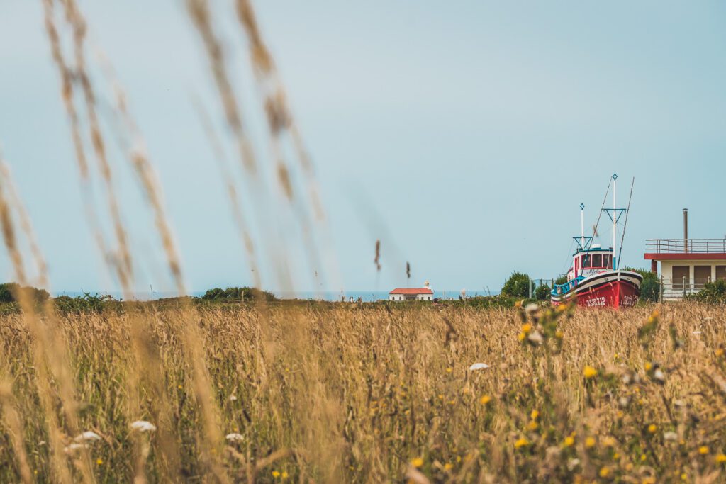 bateau de pêche