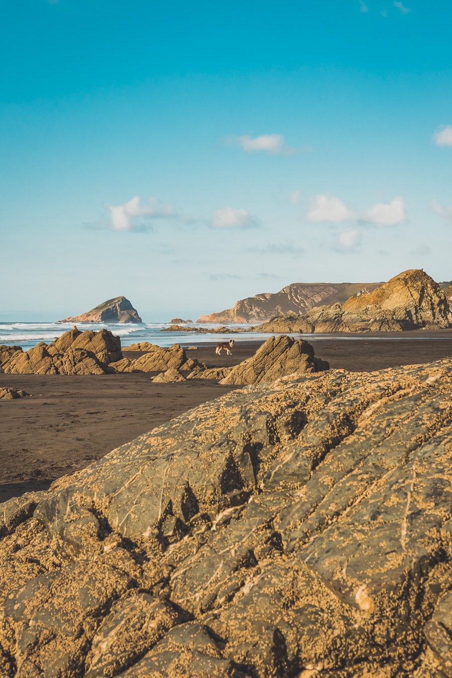 Partez à l'aventure dans le nord de l'Espagne en van et découvrez les trésors des Asturies et de la Cantabrie. Entre paysages spectaculaires et villages pittoresques, chaque kilomètre parcouru promet une découverte. Vivez l'expérience d'un road trip authentique, où l'histoire et la nature se rejoignent pour offrir des souvenirs inoubliables. Que vous voyagiez en couple, en famille ou entre amis, cette escapade vous promet des moments d'émerveillement. Partez maintenant en Espagne en van. 