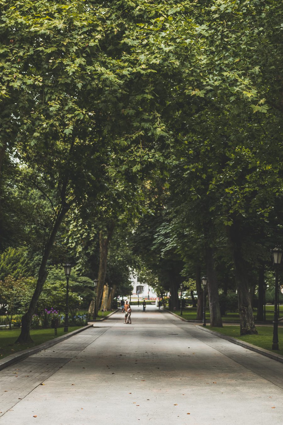 Explorez Oviedo, perle de l'Espagne du Nord, entre tradition et modernité. Flânez dans ses ruelles chargées d'histoire, délectez-vous de sa cuisine... Que vous voyagiez en couple, en famille ou entre amis, Oviedo promet des expériences uniques. C'est une étape sympa lors d'un road trip en van en Espagne. Partez donc à la découverte de ce trésor espagnol. L'aventure vous attend, cliquez pour avoir des conseils utiles.