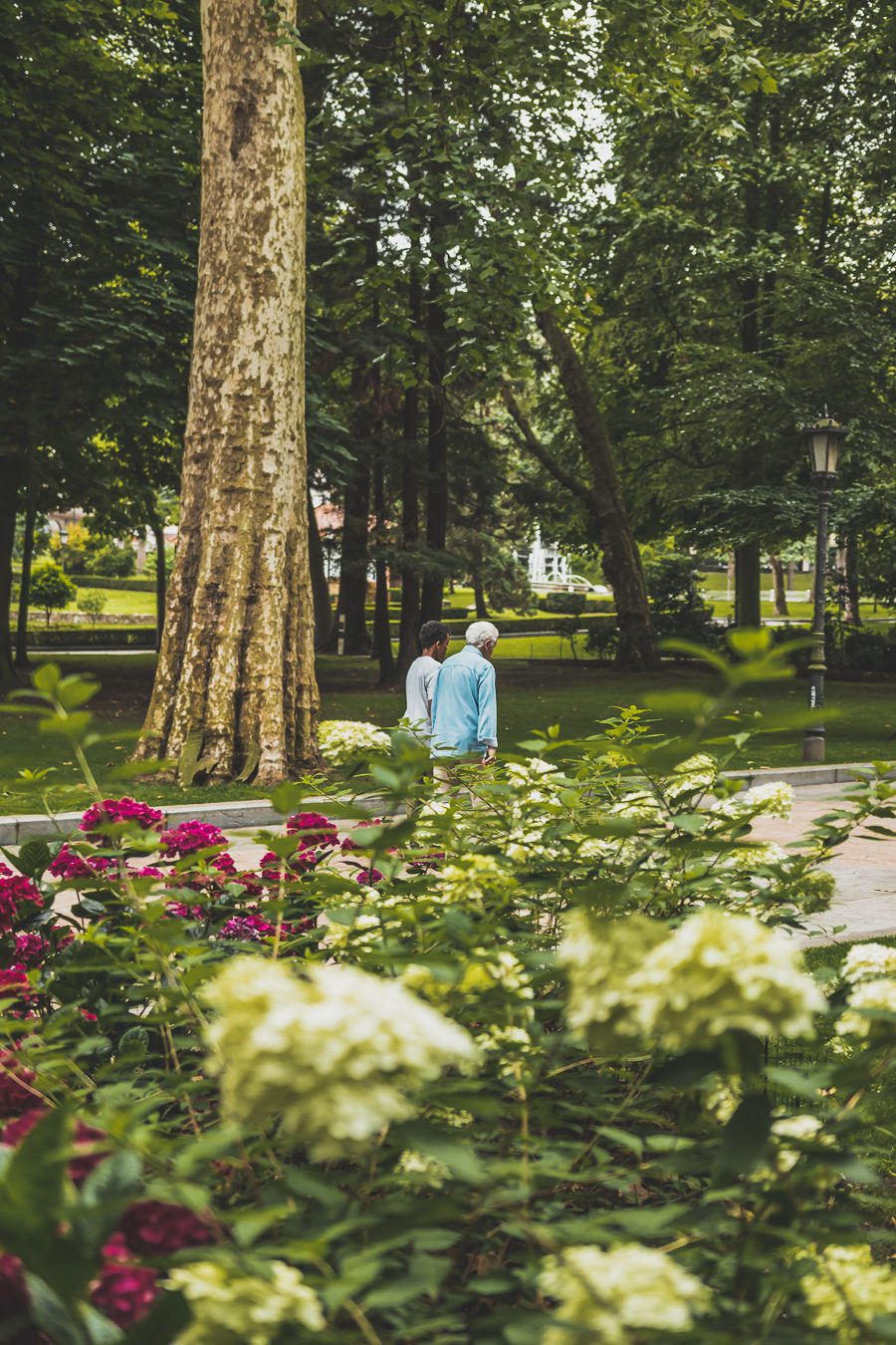 Explorez Oviedo, perle de l'Espagne du Nord, entre tradition et modernité. Flânez dans ses ruelles chargées d'histoire, délectez-vous de sa cuisine... Que vous voyagiez en couple, en famille ou entre amis, Oviedo promet des expériences uniques. C'est une étape sympa lors d'un road trip en van en Espagne. Partez donc à la découverte de ce trésor espagnol. L'aventure vous attend, cliquez pour avoir des conseils utiles.