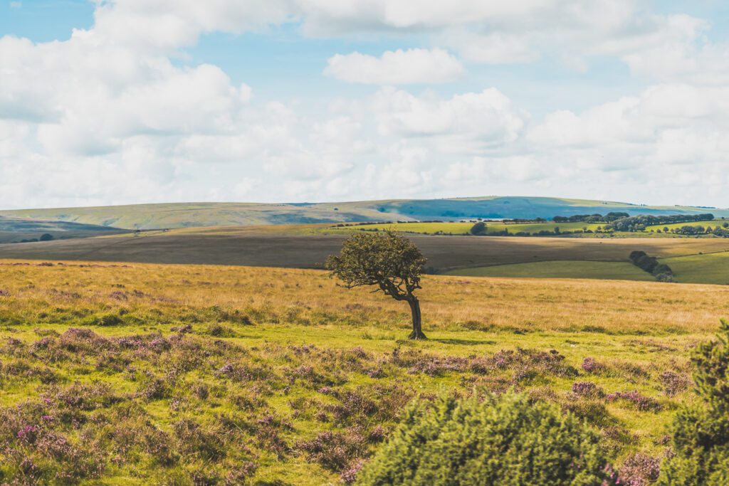 Exmoor National Park