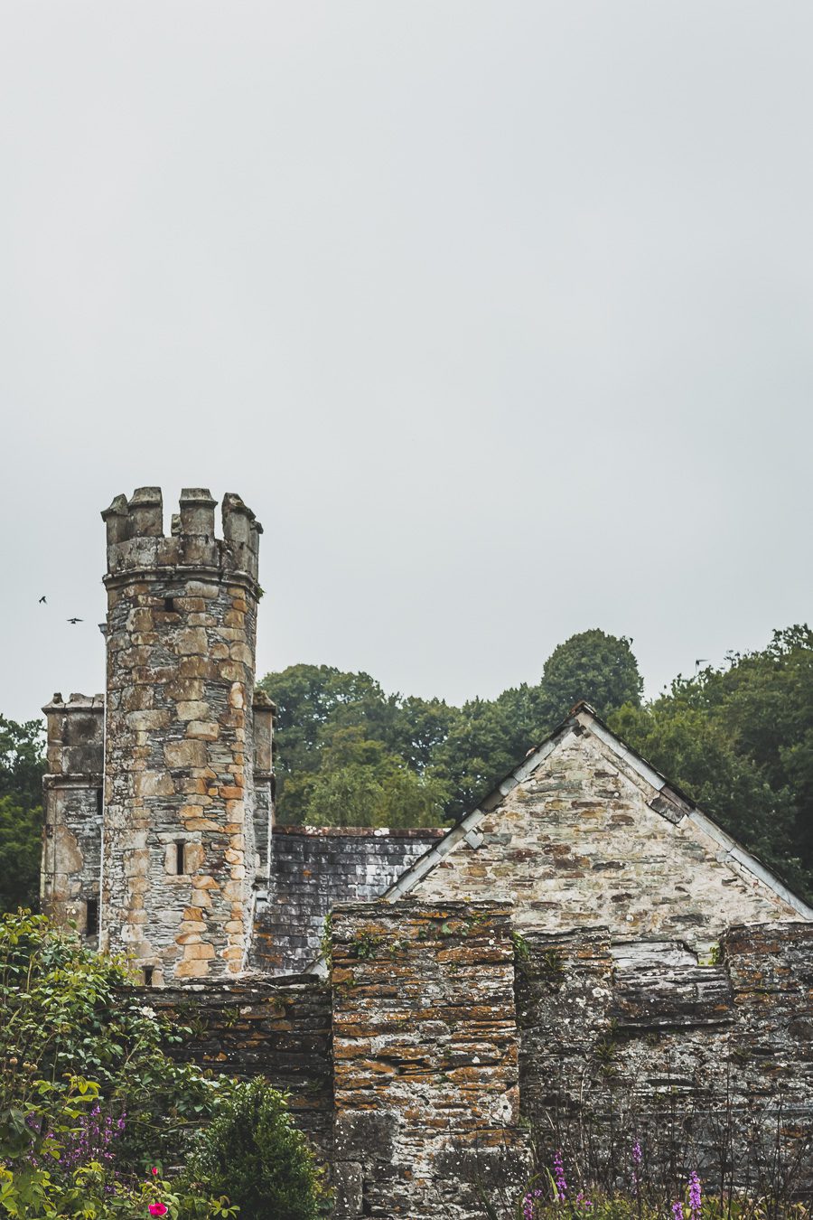 🌊 Explorez le charme époustouflant du Devon en Angleterre ! De la majestueuse Côte jurassique aux villages pittoresques, vos vacances en Angleterre seront inoubliables. Plongez dans une aventure inédite, parcourez les paysages du Royaume-Uni et créez des souvenirs magiques. Que vous soyez passionné de road trip ou adepte de la vanlife, le Devon offre des trésors à découvrir. Réservez dès maintenant votre escapade et laissez-vous séduire par le Sud de l’Angleterre. 🚗✨ #VacancesAngleterre 