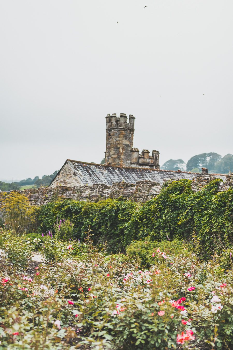 🌊 Explorez le charme époustouflant du Devon en Angleterre ! De la majestueuse Côte jurassique aux villages pittoresques, vos vacances en Angleterre seront inoubliables. Plongez dans une aventure inédite, parcourez les paysages du Royaume-Uni et créez des souvenirs magiques. Que vous soyez passionné de road trip ou adepte de la vanlife, le Devon offre des trésors à découvrir. Réservez dès maintenant votre escapade et laissez-vous séduire par le Sud de l’Angleterre. 🚗✨ #VacancesAngleterre 