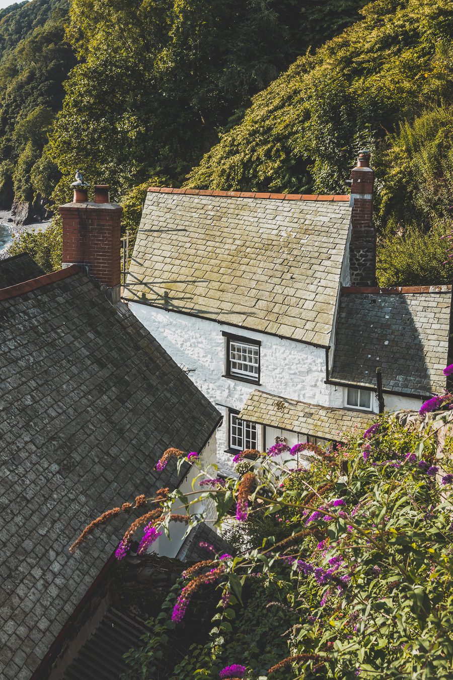 🌊 Explorez le charme époustouflant du Devon en Angleterre ! De la majestueuse Côte jurassique aux villages pittoresques, vos vacances en Angleterre seront inoubliables. Plongez dans une aventure inédite, parcourez les paysages du Royaume-Uni et créez des souvenirs magiques. Que vous soyez passionné de road trip ou adepte de la vanlife, le Devon offre des trésors à découvrir. Réservez dès maintenant votre escapade et laissez-vous séduire par le Sud de l’Angleterre. 🚗✨ #VacancesAngleterre 