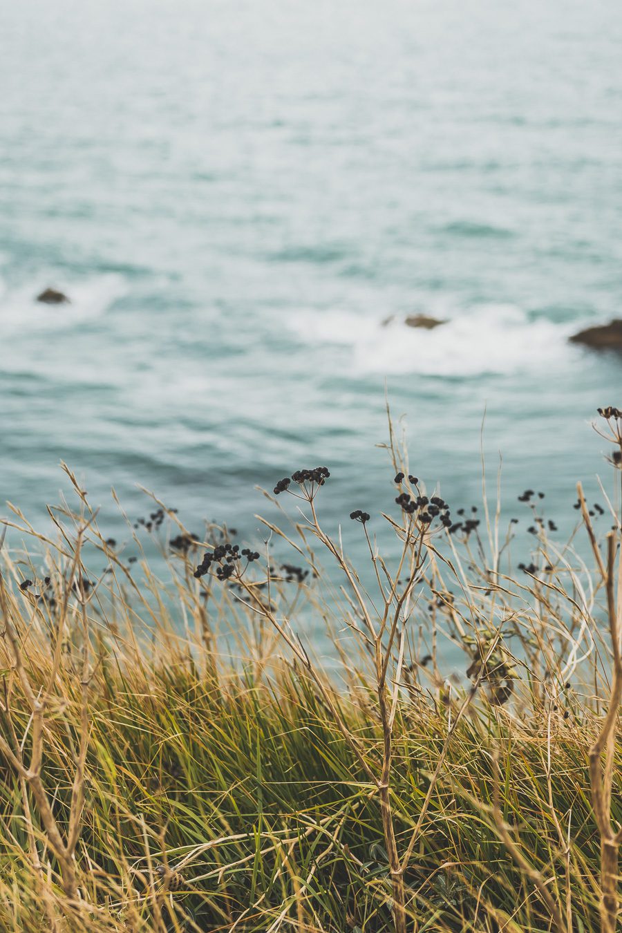 Découvrez la beauté du Dorset, une destination incontournable pour les amoureux de nature. Avec sa célèbre Côte jurassique, ses paysages à couper le souffle et ses charmants villages, le Dorset offre une expérience de voyage inoubliable. Partez en road trip dans le sud de l'Angleterre et explorez des sites emblématiques. Que vous soyez en couple, en famille ou entre amis, le Dorset vous promet des vacances en Europe superbes. Planifiez dès maintenant votre escapade au Dorset !