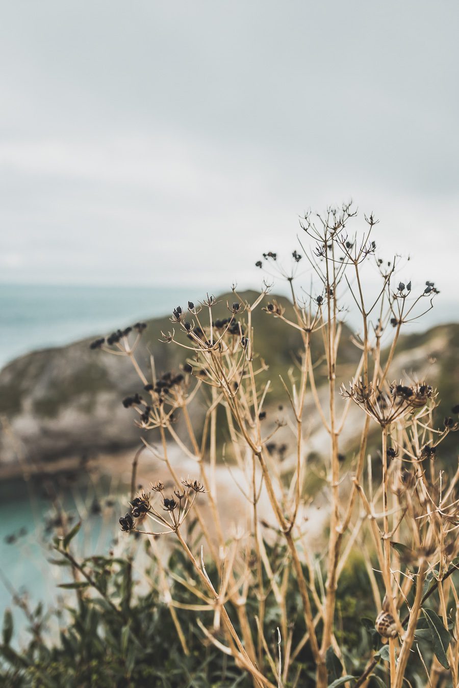 Découvrez la beauté du Dorset, une destination incontournable pour les amoureux de nature. Avec sa célèbre Côte jurassique, ses paysages à couper le souffle et ses charmants villages, le Dorset offre une expérience de voyage inoubliable. Partez en road trip dans le sud de l'Angleterre et explorez des sites emblématiques. Que vous soyez en couple, en famille ou entre amis, le Dorset vous promet des vacances en Europe superbes. Planifiez dès maintenant votre escapade au Dorset !