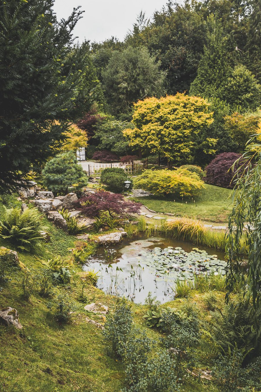 Découvrez la beauté du Dorset, une destination incontournable pour les amoureux de nature. Avec sa célèbre Côte jurassique, ses paysages à couper le souffle et ses charmants villages, le Dorset offre une expérience de voyage inoubliable. Partez en road trip dans le sud de l'Angleterre et explorez des sites emblématiques. Que vous soyez en couple, en famille ou entre amis, le Dorset vous promet des vacances en Europe superbes. Planifiez dès maintenant votre escapade au Dorset !