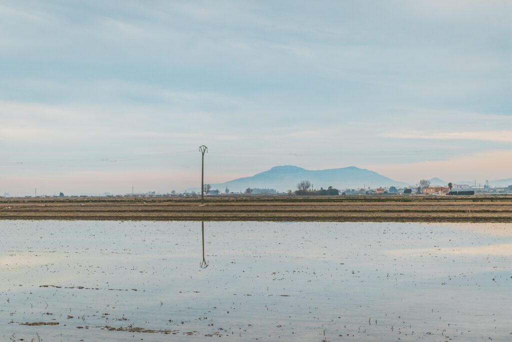 région du Delta de l'Ebre