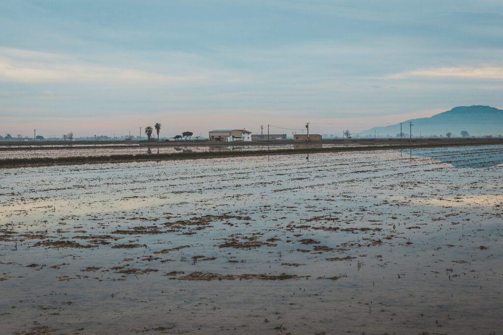 Parc naturel du Delta de l'Ebre