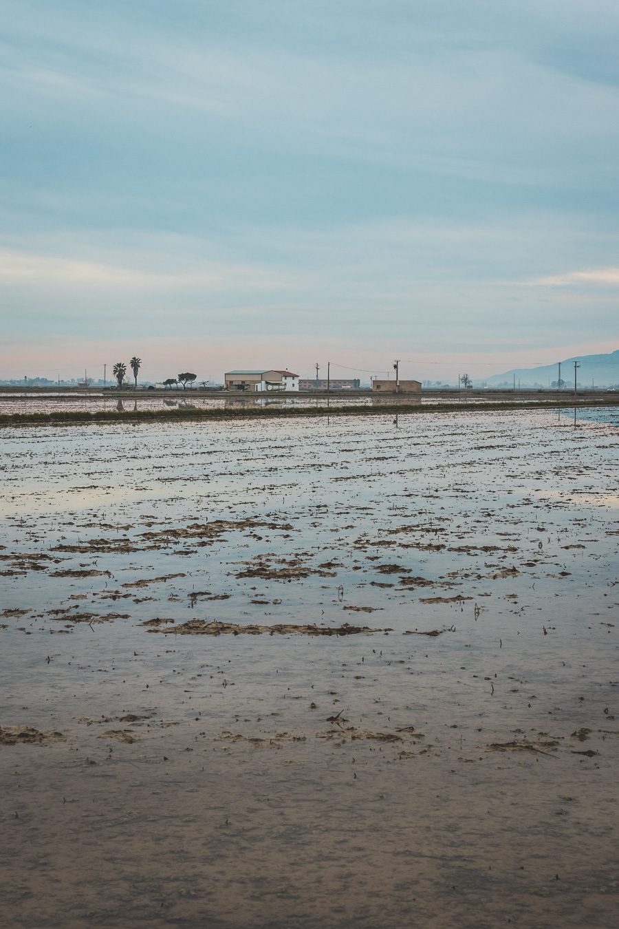 Découvrez Tarragone et ses alentours, en Catalogne. Entre ses plages, son riche patrimoine et ses paysages spectaculaires, Tarragone offre une expérience inoubliable. Explorez les ruines romaines, détendez-vous sur les plages ou partez en randonnée à travers les magnifiques paysages du Parc Naturel de l'Ebre. Ne manquez pas de découvrir cette destination lors d'un prochain voyage en Espagne. Planifiez dès maintenant votre escapade à Tarragone.