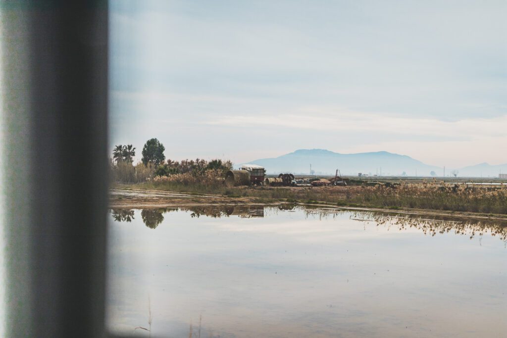 Delta de l'Ebre