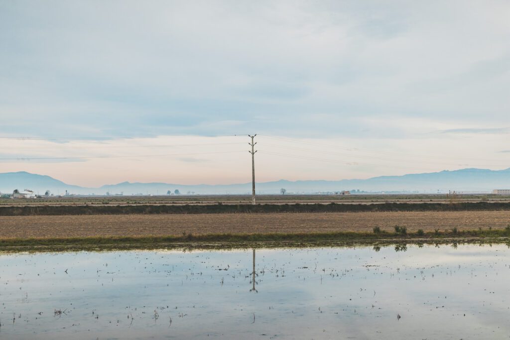 Parc naturel du Delta de l'Ebre