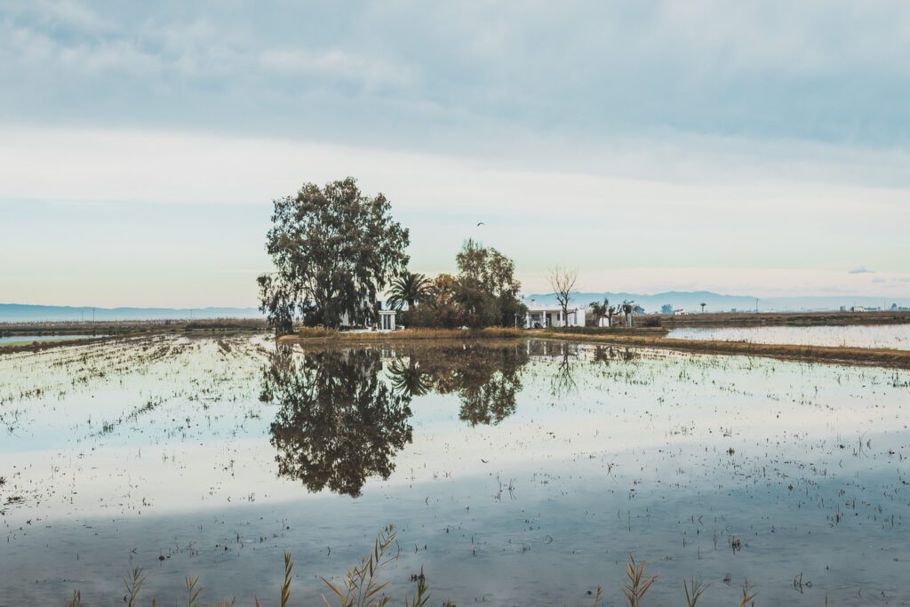 Parc Naturel du Delta de l'Ebre