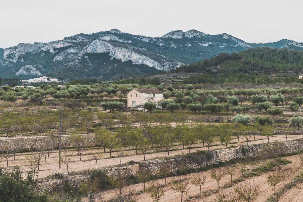 région de l'Ebre