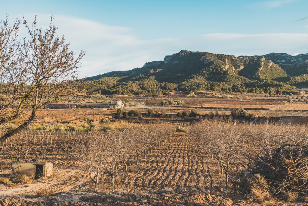 région de l'Ebre