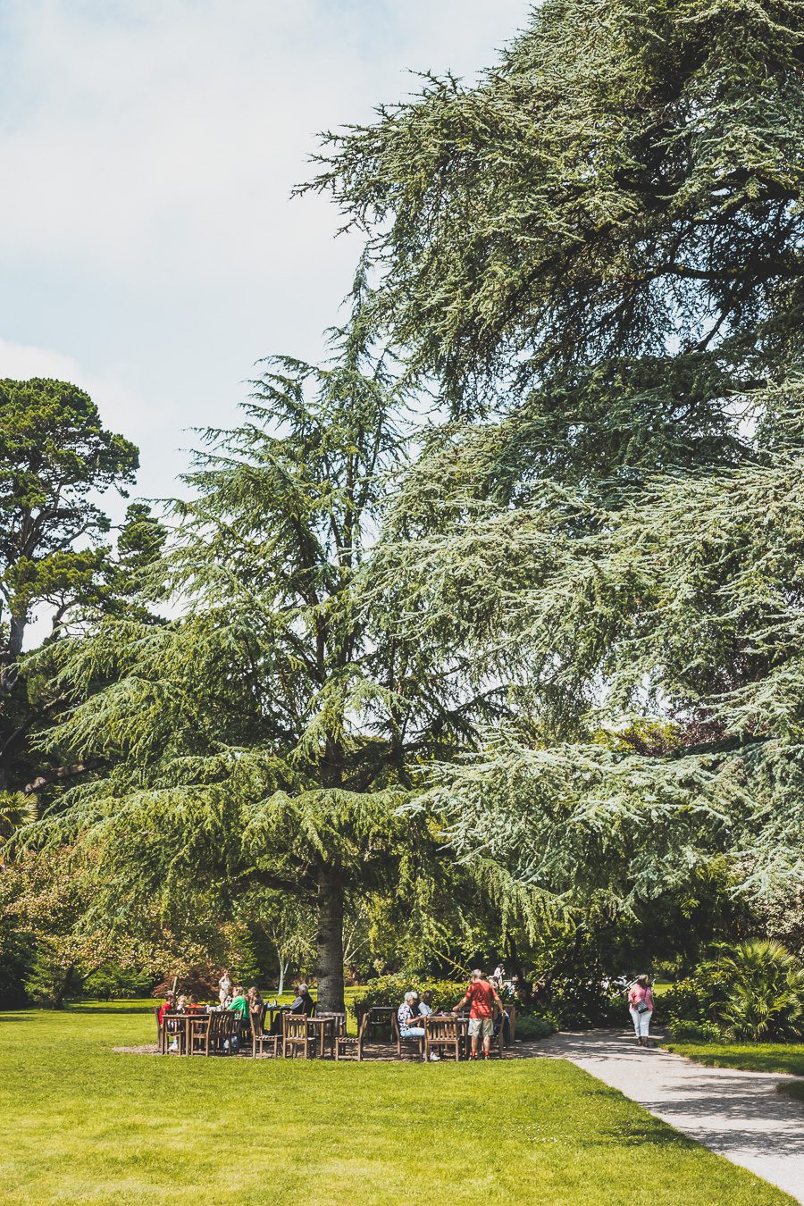 🌊 Explorez le charme époustouflant du Devon en Angleterre ! De la majestueuse Côte jurassique aux villages pittoresques, vos vacances en Angleterre seront inoubliables. Plongez dans une aventure inédite, parcourez les paysages du Royaume-Uni et créez des souvenirs magiques. Que vous soyez passionné de road trip ou adepte de la vanlife, le Devon offre des trésors à découvrir. Réservez dès maintenant votre escapade et laissez-vous séduire par le Sud de l’Angleterre. 🚗✨ #VacancesAngleterre 