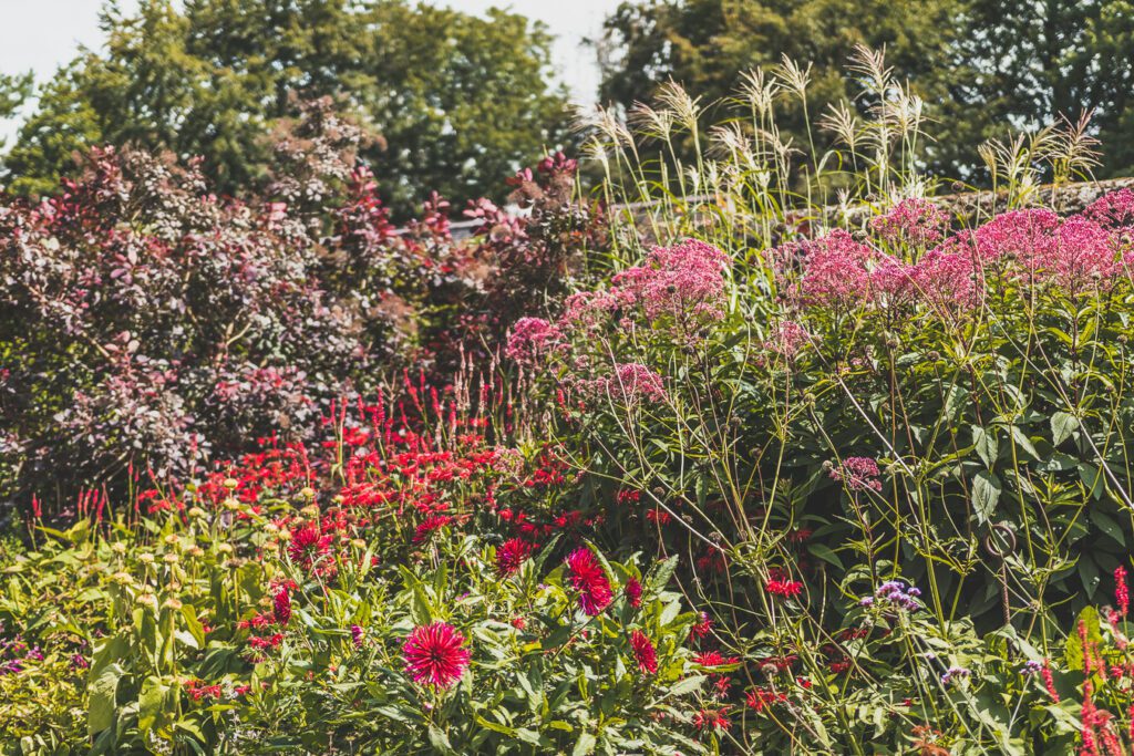 fleurs