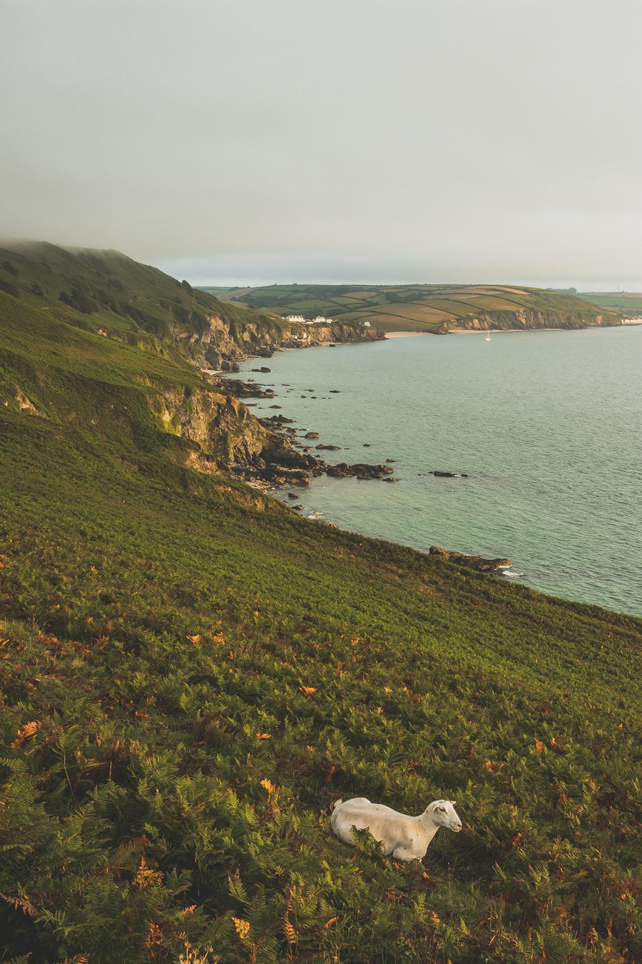 🌊 Explorez le charme époustouflant du Devon en Angleterre ! De la majestueuse Côte jurassique aux villages pittoresques, vos vacances en Angleterre seront inoubliables. Plongez dans une aventure inédite, parcourez les paysages du Royaume-Uni et créez des souvenirs magiques. Que vous soyez passionné de road trip ou adepte de la vanlife, le Devon offre des trésors à découvrir. Réservez dès maintenant votre escapade et laissez-vous séduire par le Sud de l’Angleterre. 🚗✨ #VacancesAngleterre 